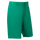 FJ Par Golf Short